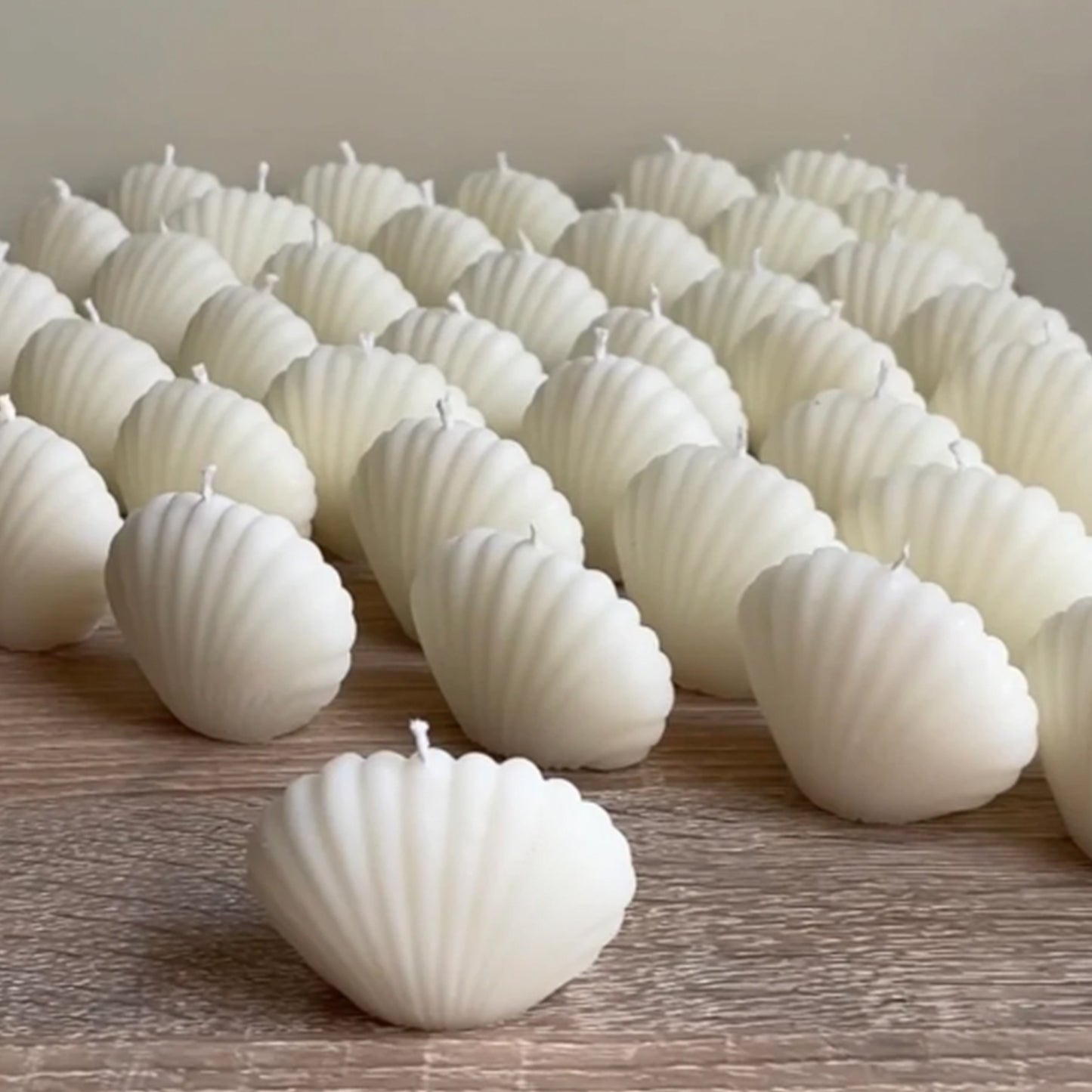 Sea Shell Handmade Candles - Set of 3